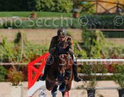 CRISTOFOLETTI AMICO MIO CampITA2013- S5 9360 : AMICO MIO, CRISTOFOLETTI ROBERTO, Campionati Italiani 2013, Cattolica, Horse Riviera Resort, foto di Stefano Secchi ©